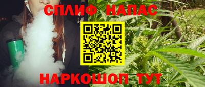 гашик Ливны