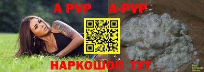 гашик Ливны