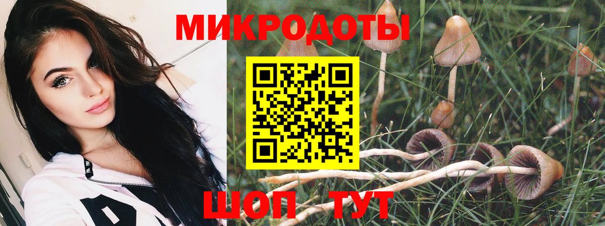 Псилоцибиновые грибы MAGIC MUSHROOMS  Галлюциногенные грибы Cubensis  Вход с VPN  Камышлов 