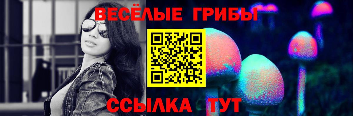 Псилоцибиновые грибы Psilocybine cubensis Камышлов